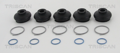 Ansamblu burduf, directie 8501 3312 TRISCAN