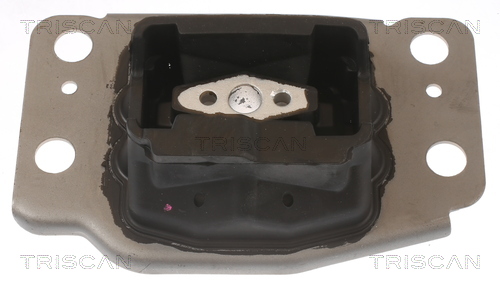 Suport motor 8505 10137 TRISCAN