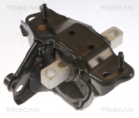 Suport motor 8505 29139 TRISCAN