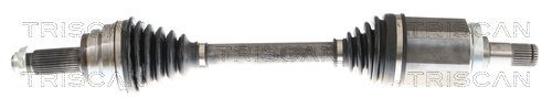 Planetara 8540 11613 TRISCAN