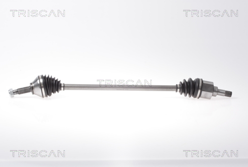 Planetara 8540 295012 TRISCAN