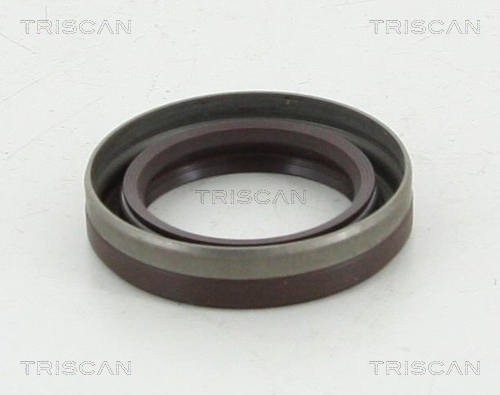Simering, diferential 8550 10026 TRISCAN