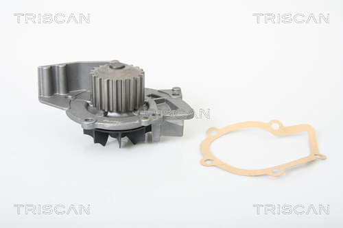 Pompă de apă, răcire motor 8600 10009 TRISCAN