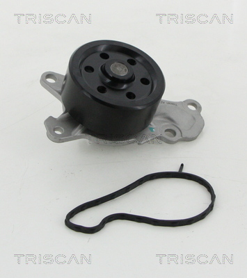 Pompă de apă, răcire motor 8600 10039 TRISCAN