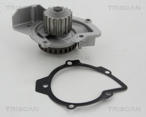 Pompă de apă, răcire motor 8600 10079 TRISCAN