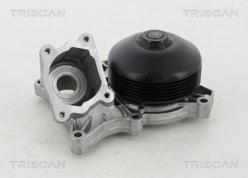 Pompă de apă, răcire motor 8600 11038 TRISCAN