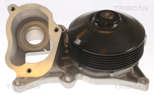 Pompă de apă, răcire motor 8600 11060 TRISCAN