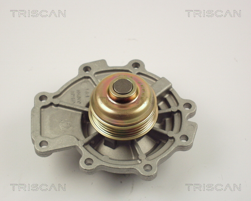 Pompă de apă, răcire motor 8600 16011 TRISCAN