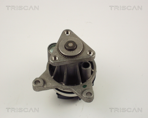 Pompă de apă, răcire motor 8600 16020 TRISCAN