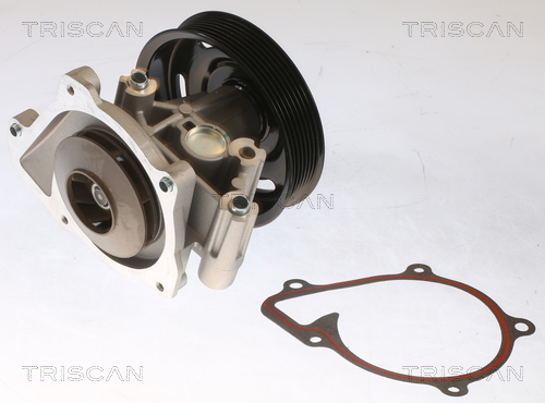 Pompă de apă, răcire motor 8600 16073 TRISCAN