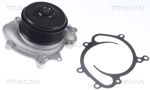 Pompă de apă, răcire motor 8600 23081 TRISCAN