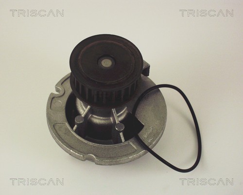 Pompă de apă, răcire motor 8600 24010 TRISCAN