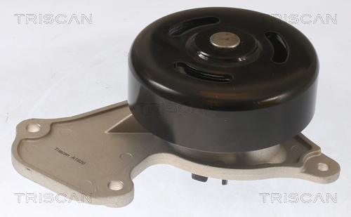 Pompă de apă, răcire motor 8600 25095 TRISCAN