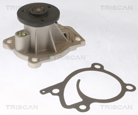 Pompă de apă, răcire motor 8600 25096 TRISCAN