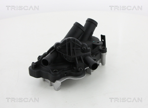 Pompă de apă, răcire motor 8600 29060H TRISCAN