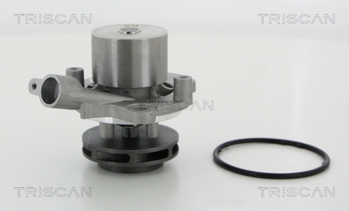 Pompă de apă, răcire motor 8600 29065 TRISCAN