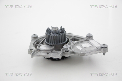 Pompă de apă, răcire motor 8600 29082 TRISCAN