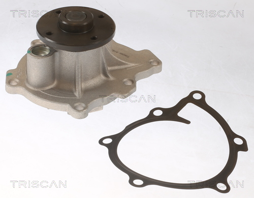 Pompă de apă, răcire motor 8600 42021 TRISCAN