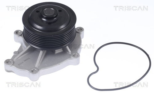 Pompă de apă, răcire motor 8600 68025 TRISCAN