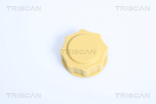 Buson,vas expansiune 8610 12 TRISCAN