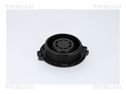Buson,vas expansiune 8610 34 TRISCAN