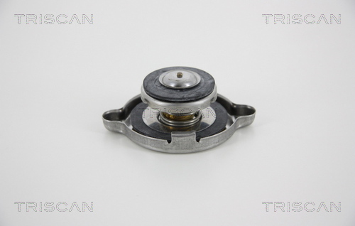 Buson,radiator 8610 7 TRISCAN