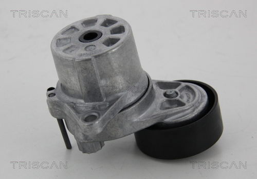 Intinzator curea, curea distributie 8641 233023 TRISCAN
