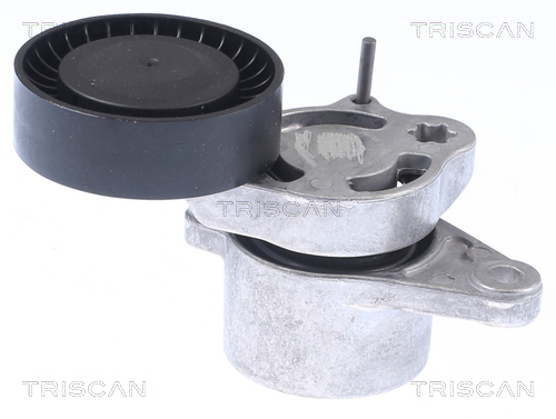 Intinzator curea, curea distributie 8641 233030 TRISCAN