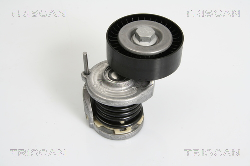 Intinzator curea, curea distributie 8641 293021 TRISCAN
