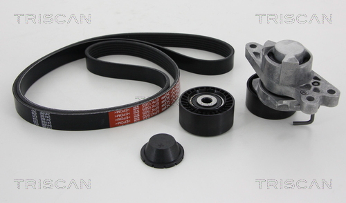 Set curea transmisie cu caneluri 8642 10001 TRISCAN
