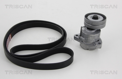 Set curea transmisie cu caneluri 8642 10005 TRISCAN