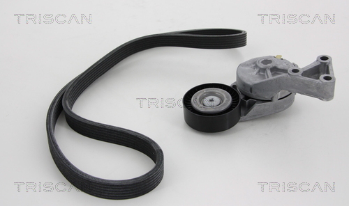 Set curea transmisie cu caneluri 8642 10011 TRISCAN