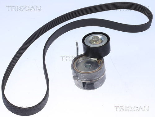 Set curea transmisie cu caneluri 8642 10022 TRISCAN