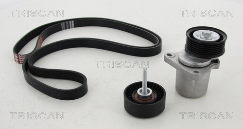 Set curea transmisie cu caneluri 8642 16004 TRISCAN
