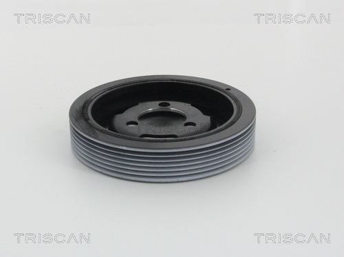 Fulie curea, arbore cotit 8643 10015 TRISCAN