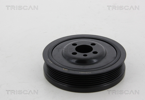 Fulie curea, arbore cotit 8643 29001 TRISCAN