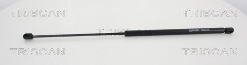Amortizor portbagaj 8710 16250 TRISCAN