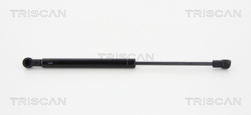 Amortizor portbagaj 8710 24246 TRISCAN
