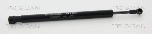 Amortizor portbagaj 8710 292039 TRISCAN