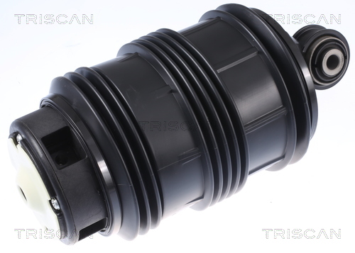 Arc pneumatic, directie 8720 23205 TRISCAN