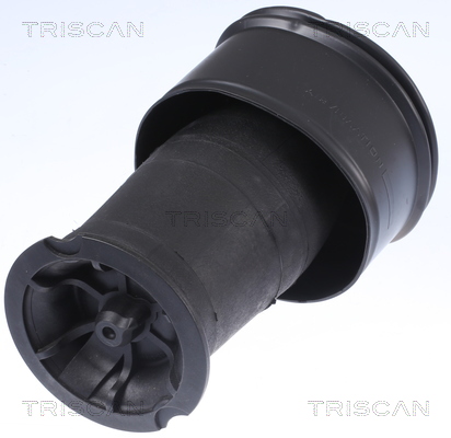 Arc pneumatic, directie 8720 38201 TRISCAN