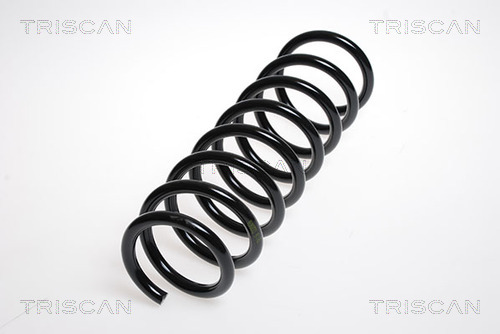 Arc spiral 8750 11133 TRISCAN