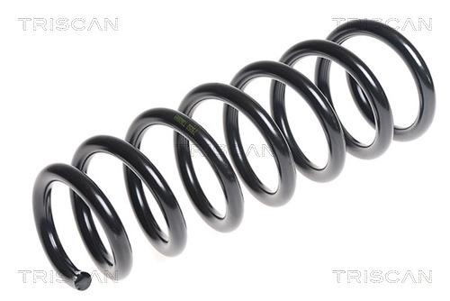 Arc spiral 8750 11135 TRISCAN