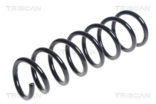 Arc spiral 8750 11149 TRISCAN