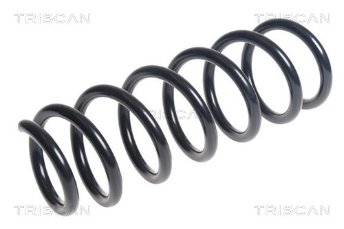 Arc spiral 8750 11160 TRISCAN