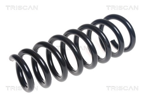 Arc spiral 8750 11177 TRISCAN