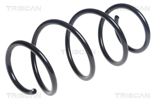 Arc spiral 8750 11191 TRISCAN