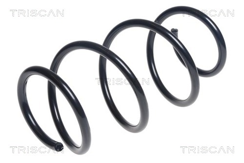 Arc spiral 8750 11193 TRISCAN