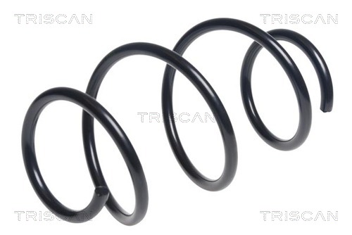 Arc spiral 8750 11195 TRISCAN