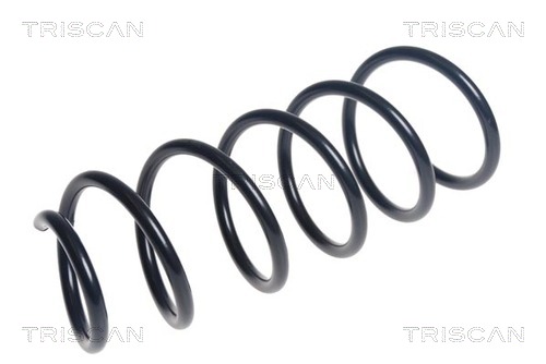 Arc spiral 8750 11224 TRISCAN